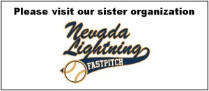 Lightning Sister Organisation 2